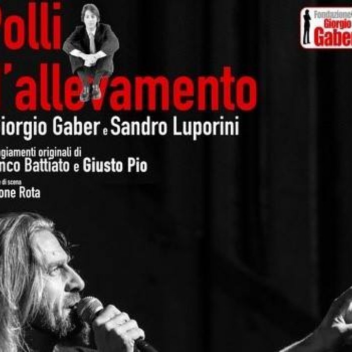 POLLI D'ALLEVAMENTO POLLI D'ALLEVAMENTO