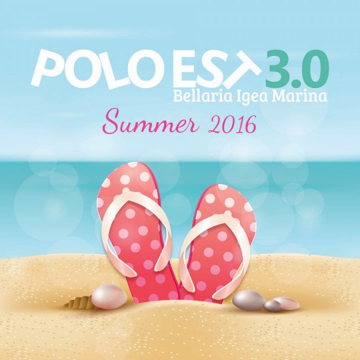 POLO EST 3.0 ESTATE 2016 POLO EST 3.0 ESTATE 2016