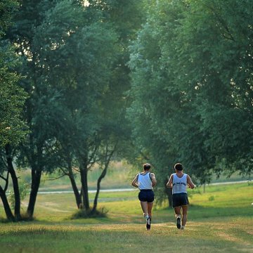 Bellaria Igea Marina