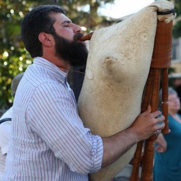 Archivio_Uff.Cultura-Comune Bellaria Igea Marina