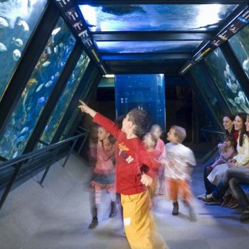 Bellaria Igea Marina