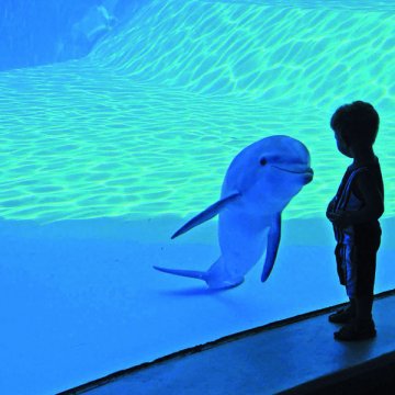 Bellaria Igea Marina