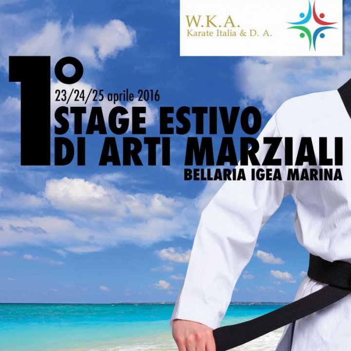 1° STAGE ESTIVO ARTI MARZIALI