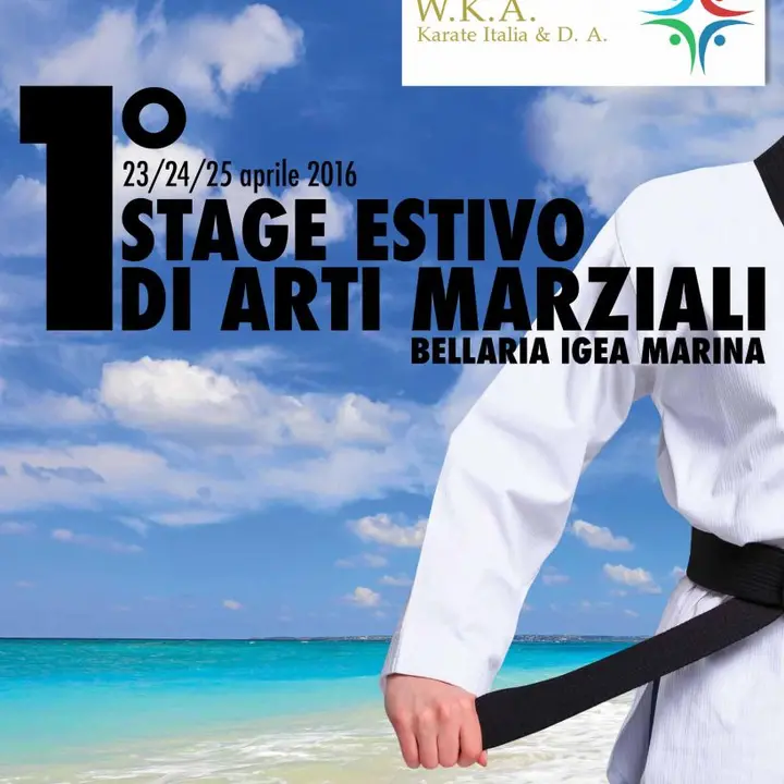 1° STAGE ESTIVO ARTI MARZIALI