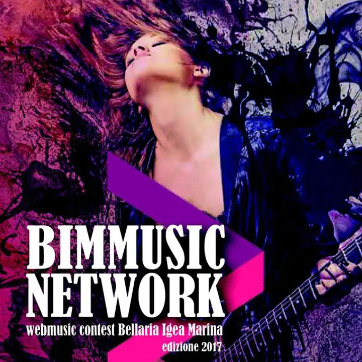 BIM MUSIC NETWORK edizione 2017