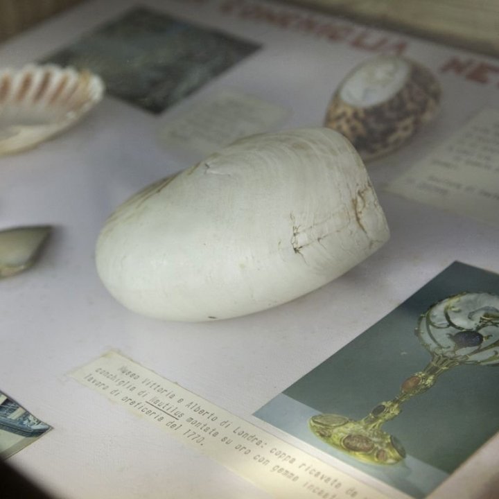 Cultura e stagione turistica: quasi 19.000 visitatori per i Musei di Bellaria Igea Marina