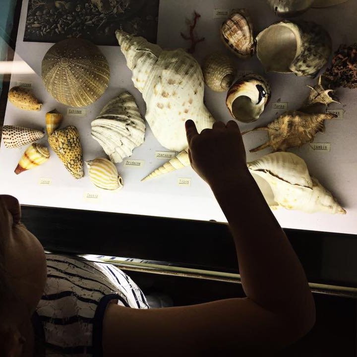 GiocaMuseo: domani il museo sarà a misura di bambino