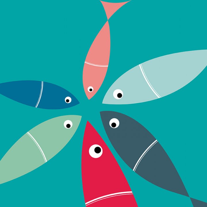 LA FESTA DEL MARE | CULTURA