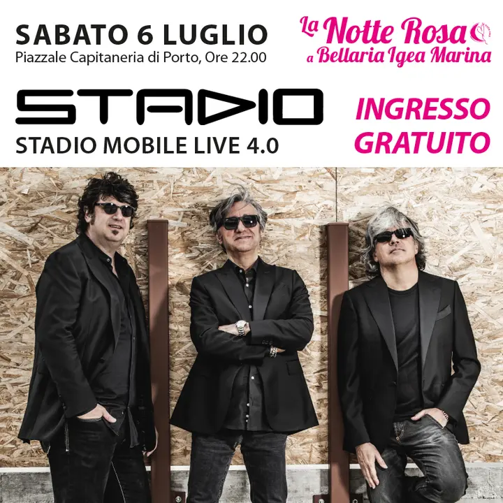 CONCERTO DEGLI STADIO