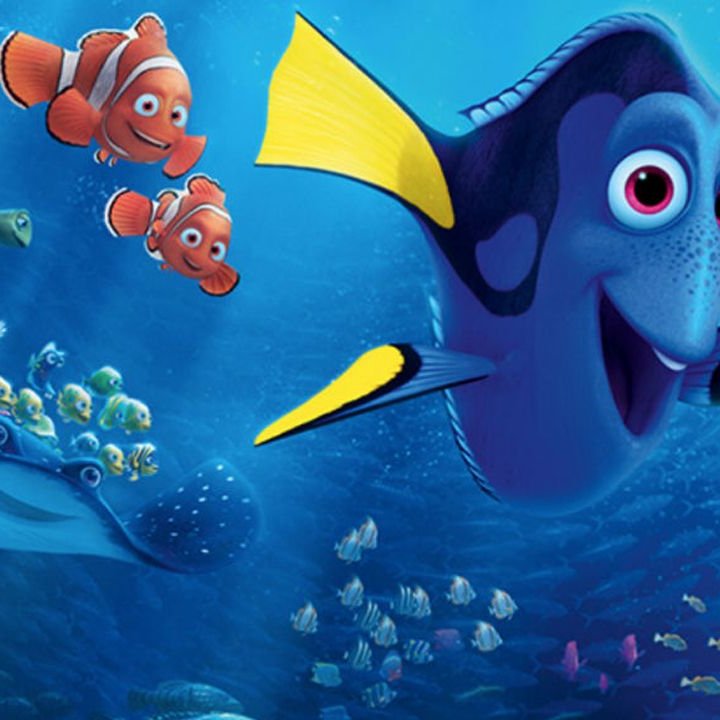 ALLA RICERCA DI DORY