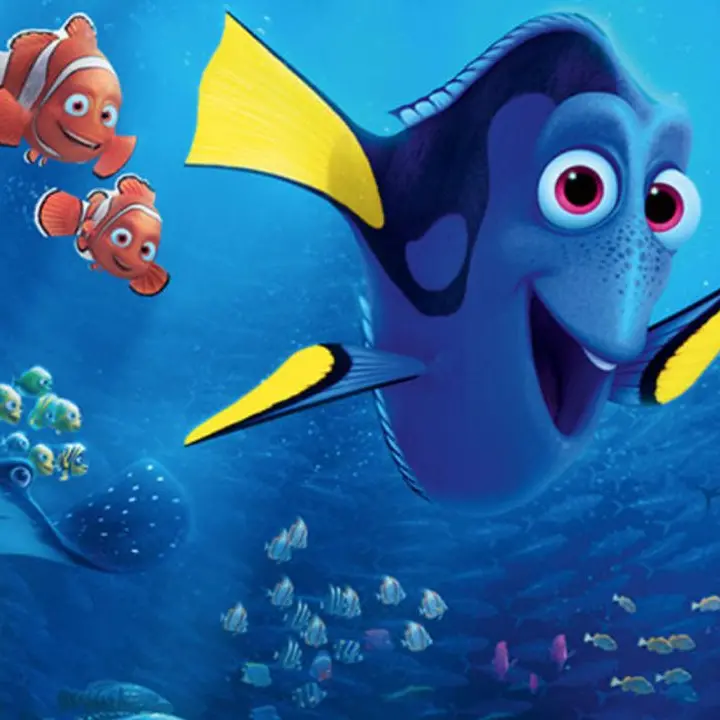 ALLA RICERCA DI DORY