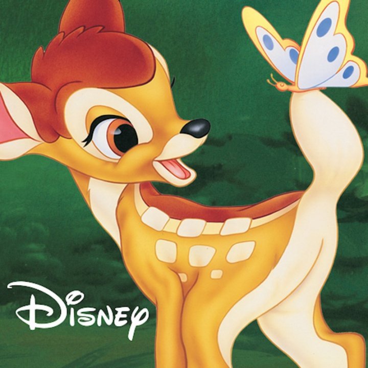 CINEFLOWER | BAMBI CINEFLOWER | BAMBI