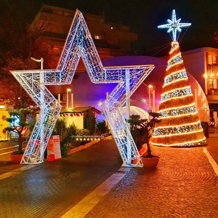 Parte il Natale "Christmas Flower Mood"