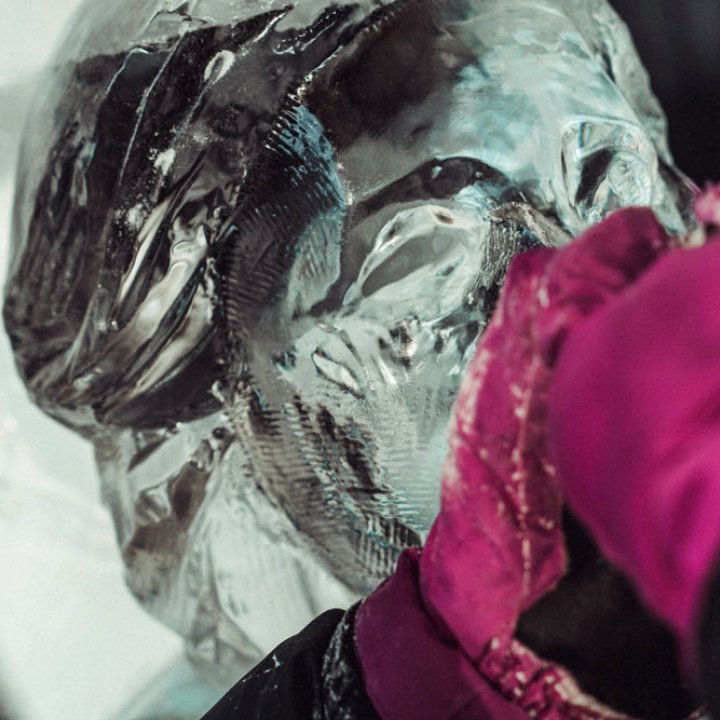 CHRISTMAS FLOWER MOOD