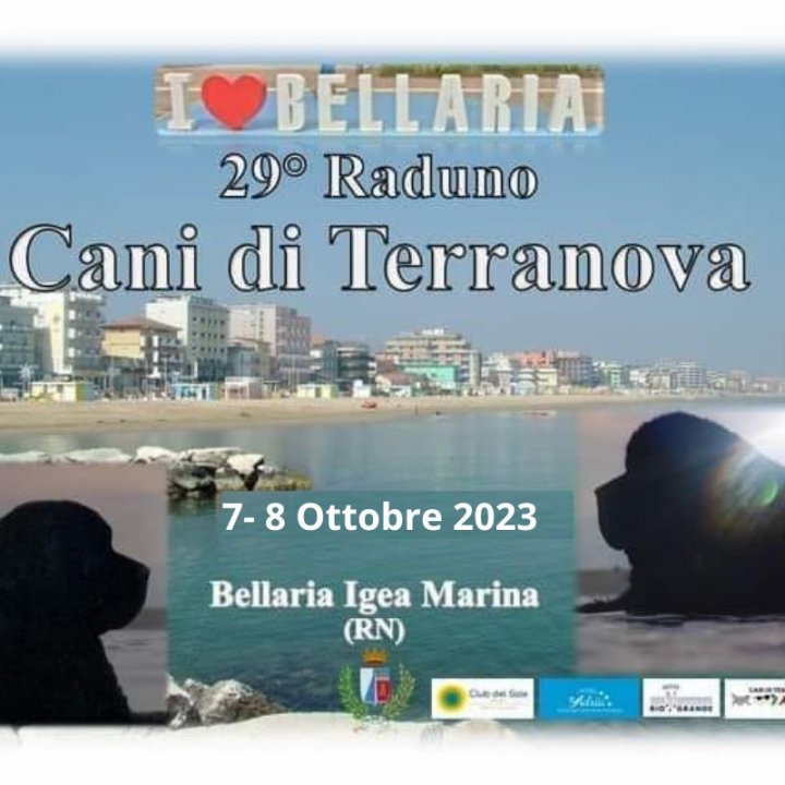 29° RADUNO DEI CANI DI TERRANOVA