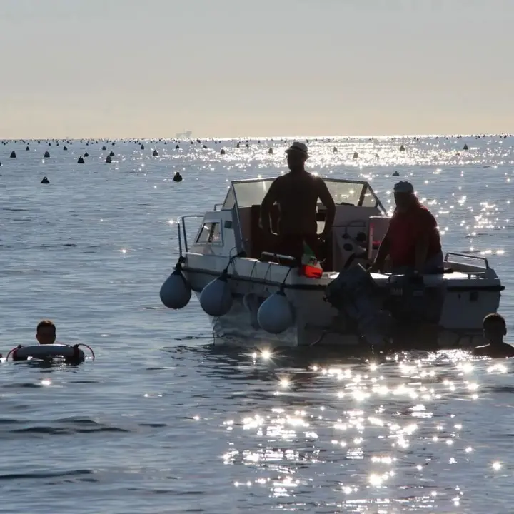 TURISTA A BORDO