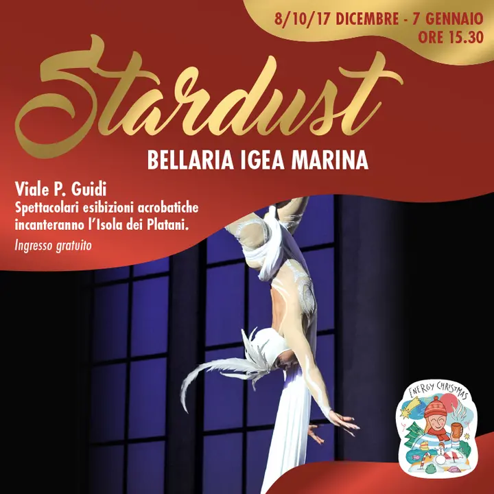 STARDUST