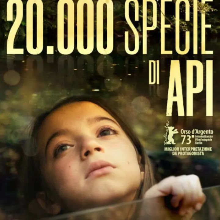 20.000 SPECIE DI API