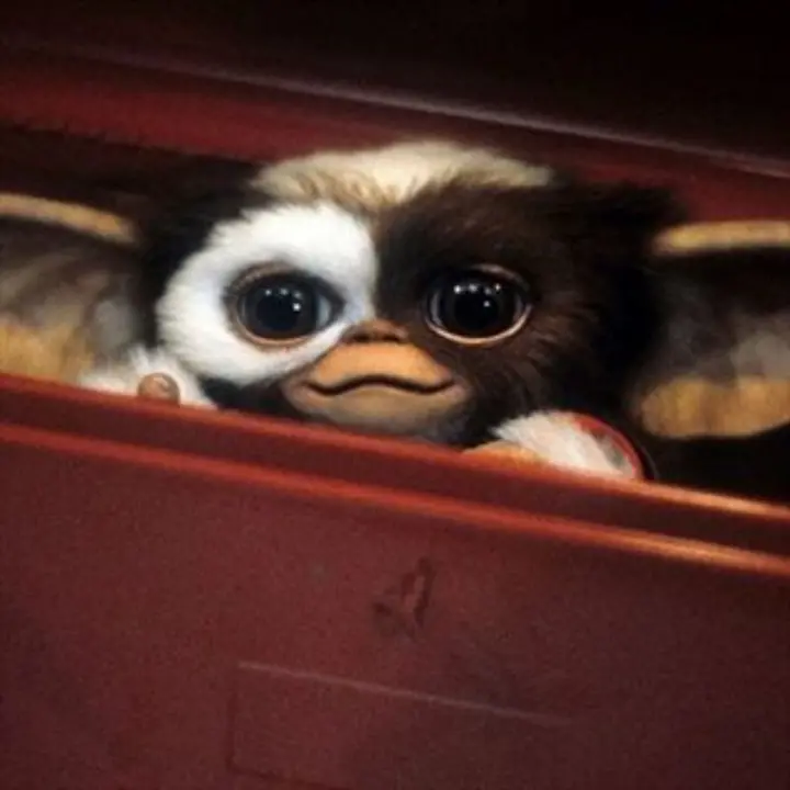 GREMLINS (copia restaurata)