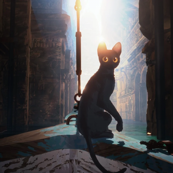 FLOW - UN MONDO DA SALVARE