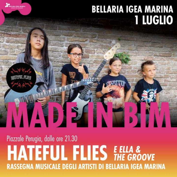 MADE IN BIM | HATEFUL FLIES