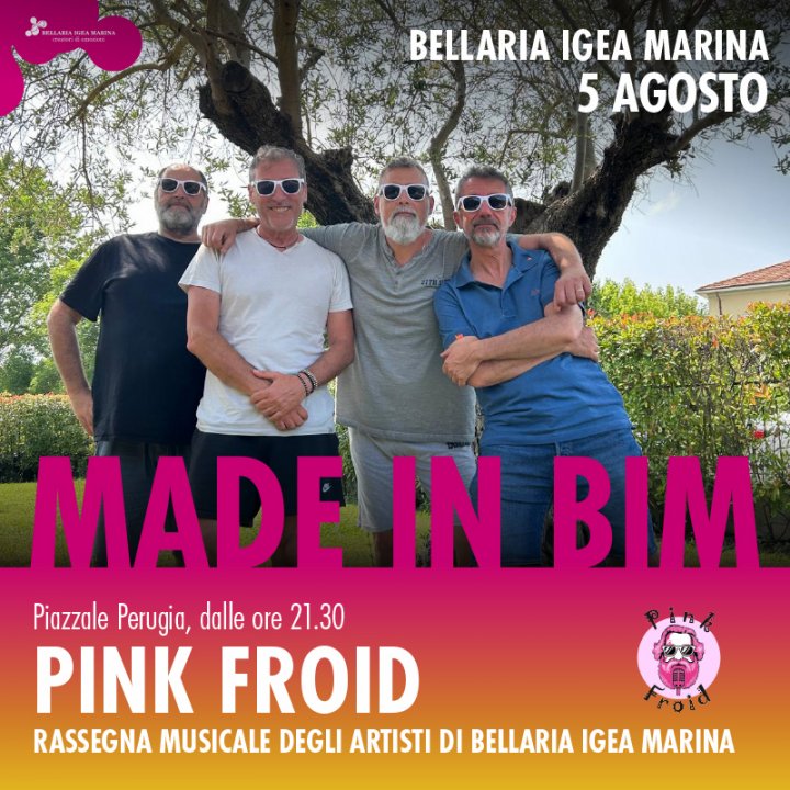 MADE IN BIM | PINK FROID