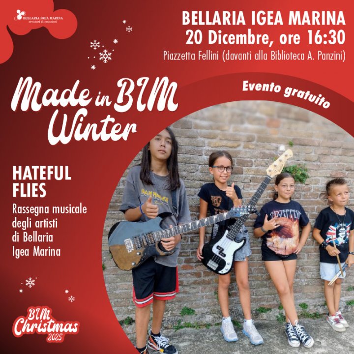 HATEFUL FLIES | MADE IN BIM WINTER