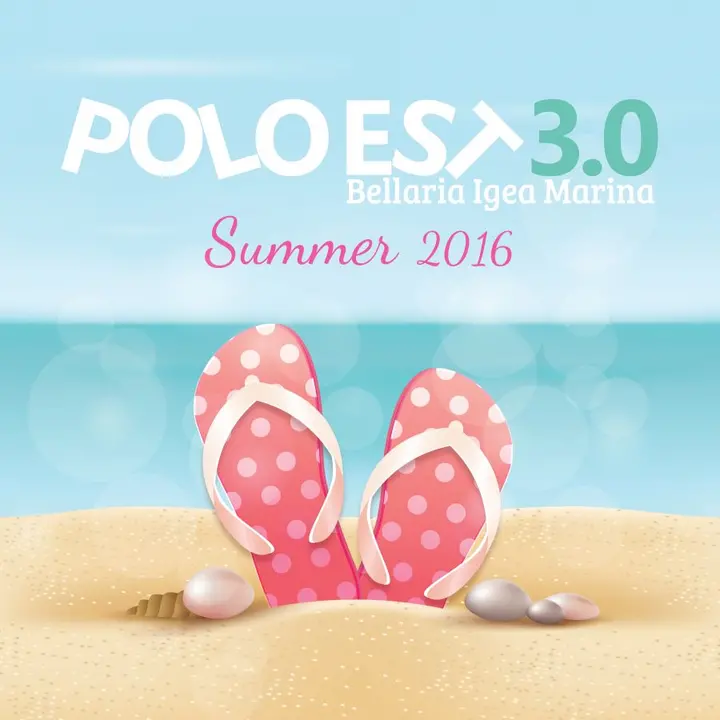 POLO EST 3.0 ESTATE 2016