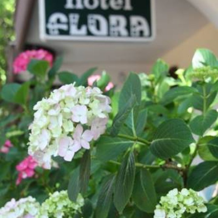 A PROPOSITO DI OSPITALITA'