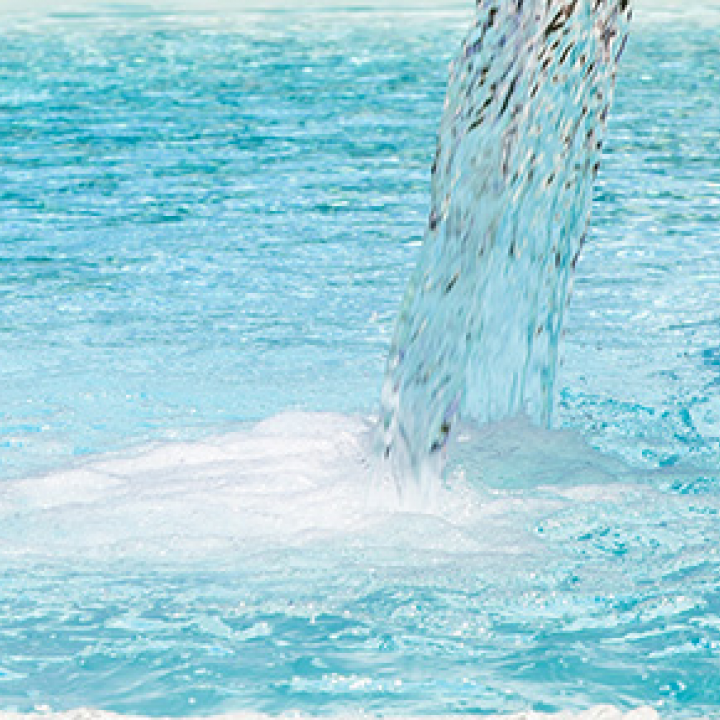 A PROPOSITO DI OSPITALITA'