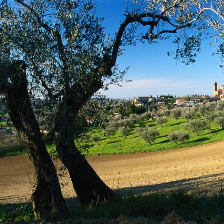 RACCONTIAMO IL TERRITORIO 09 marzo 2011