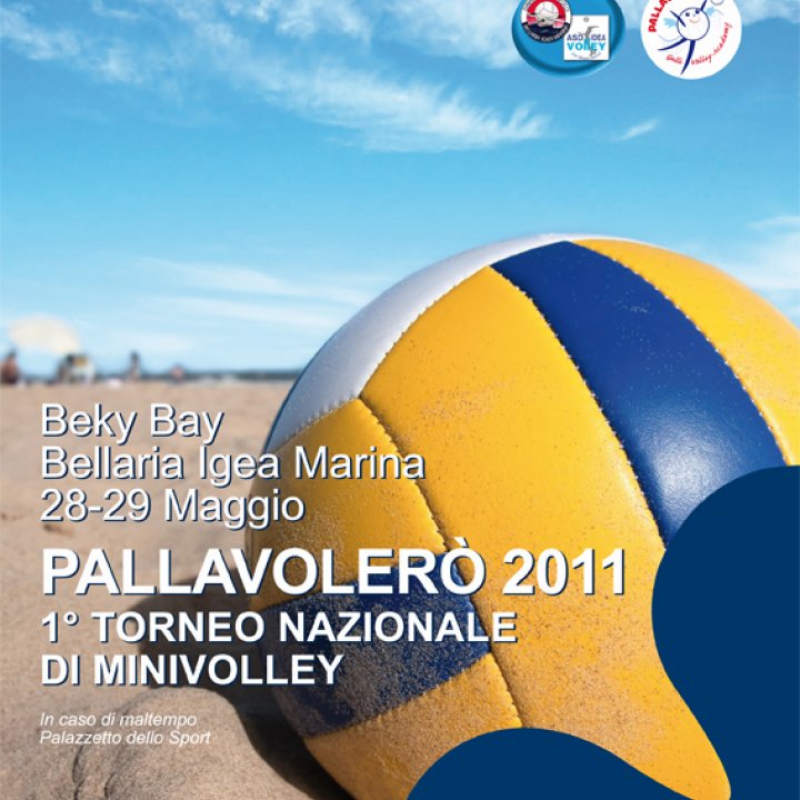 PALLAVOLERO' 28-29 maggio 2011
