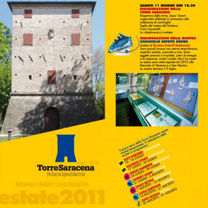 ESPOSIZIONI ALLA TORRE SARACENA giugno-agosto 2011