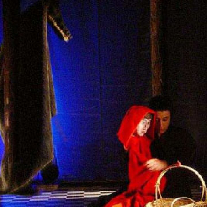 TUTTETA' TEATRO - CAPPUCCETTO ROSSO 22 gennaio 2012