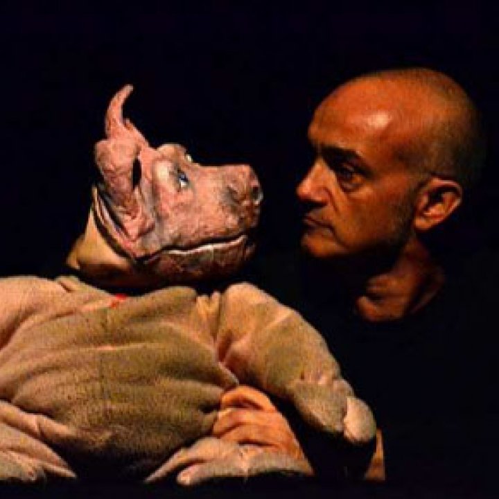 TUTTETA' TEATRO - I TRE PORCELLINI 20 marzo 2012