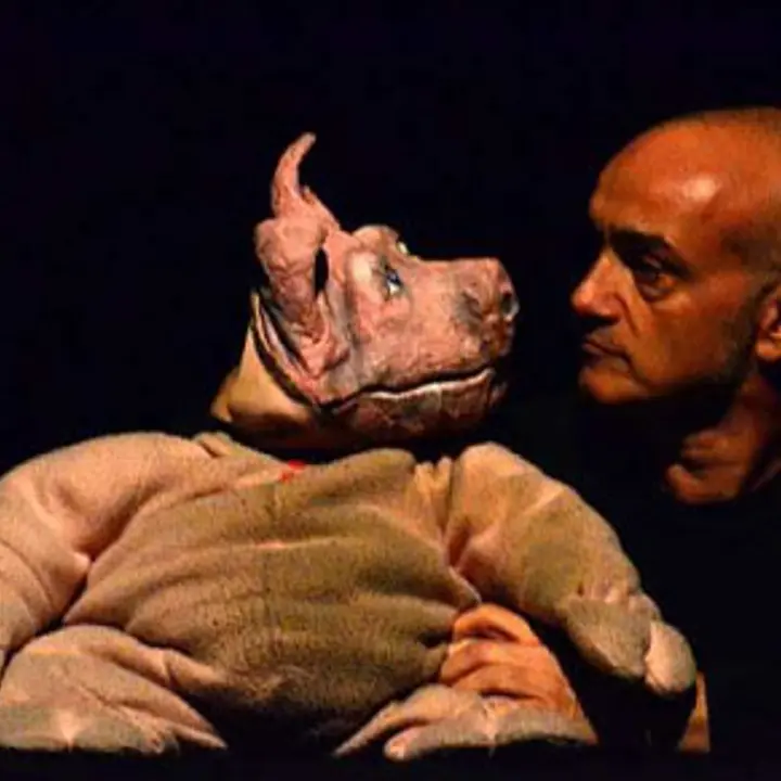 TUTTETA' TEATRO - I TRE PORCELLINI 20 marzo 2012