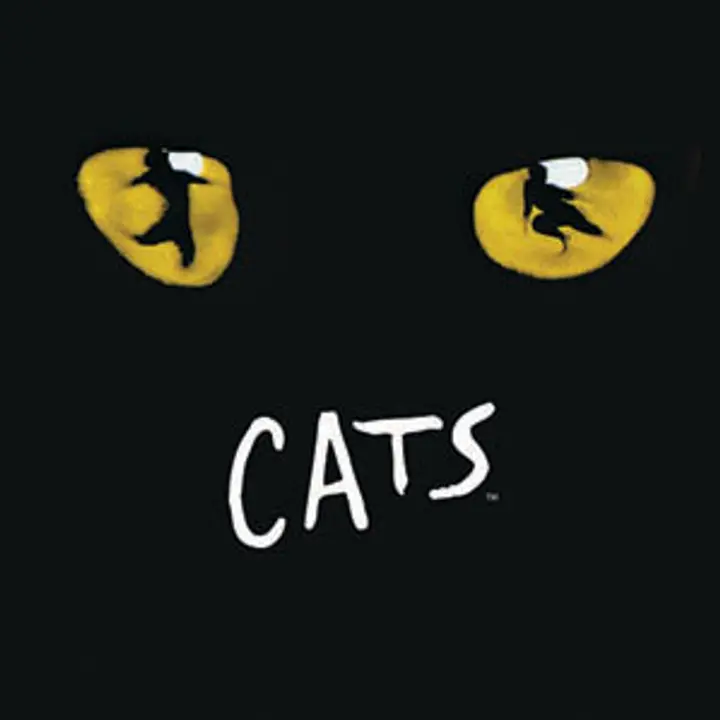 CATS spettacolo di danza e teatro 26 febbraio 2012