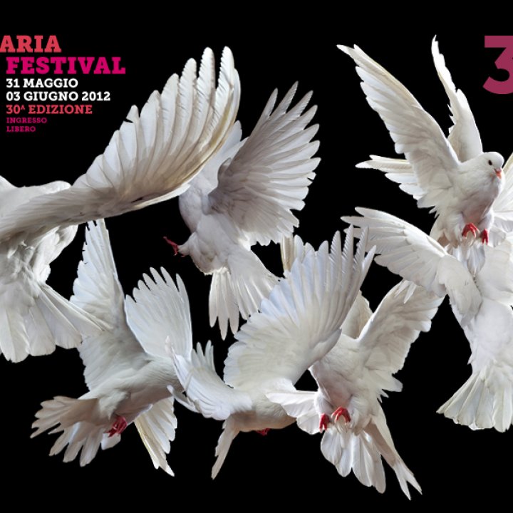 BELLARIA FILM FESTIVAL 31 maggio-03 giugno 2012