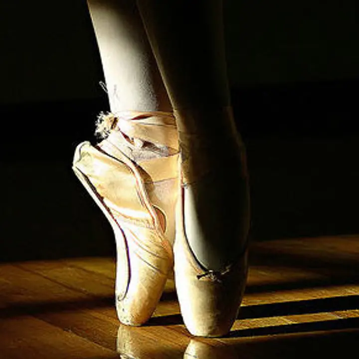 LAGO DEI CIGNI spettacolo di danza 20 maggio 2012