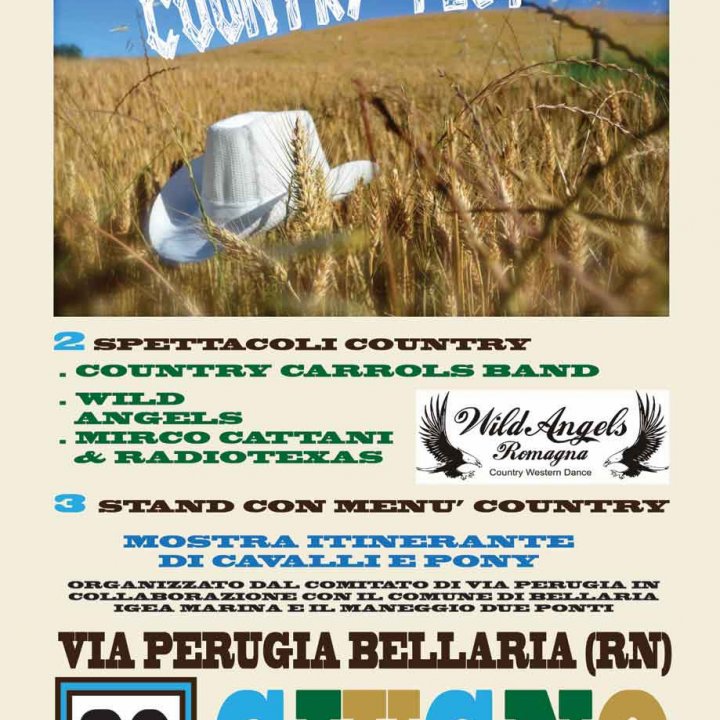 FESTA COUNTRY 30 giugno 2012