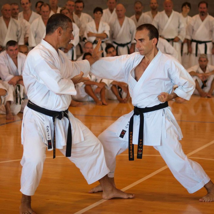 STAGE NAZIONALE KARATE FIKTA-ISI 22-25 agosto 2012