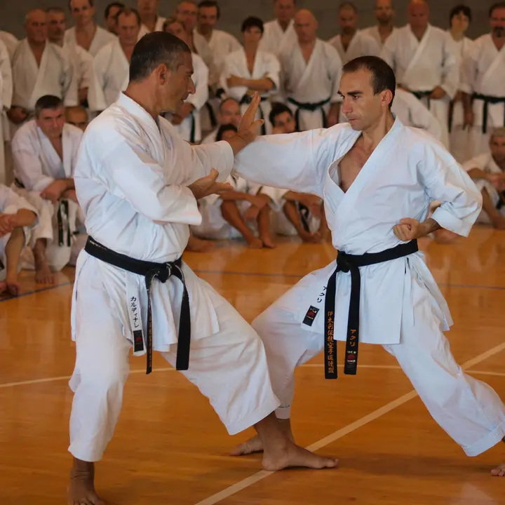 STAGE NAZIONALE KARATE FIKTA-ISI 22-25 agosto 2012
