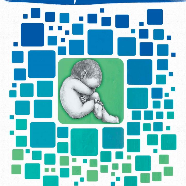 XXXII CONVEGNO NAZIONALE AIUTO ALLA VITA 26-28 ottobre 2012