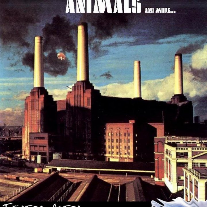 ANIMALS AND MORE... CONCERTO 18 maggio 2013