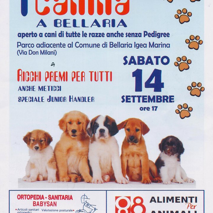 1^ ESPOSIZIONE CANINA 14 settembre 2013