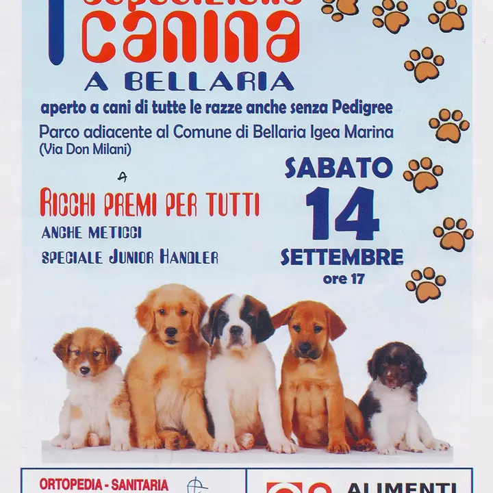 1^ ESPOSIZIONE CANINA 14 settembre 2013