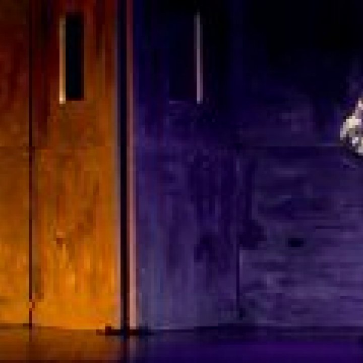 IL PIFFERAIO MAGICO 31 gennaio 2014