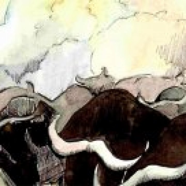 BRANCO DI SCUOLA 27 febbraio 2014