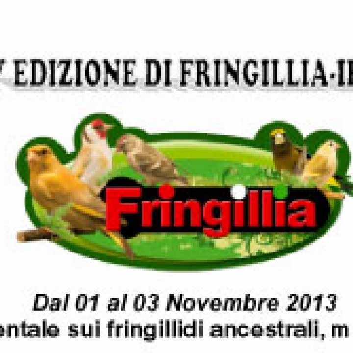XXIV edizione FRINGILLIA IBRIDIA 02-03 novembre 2013