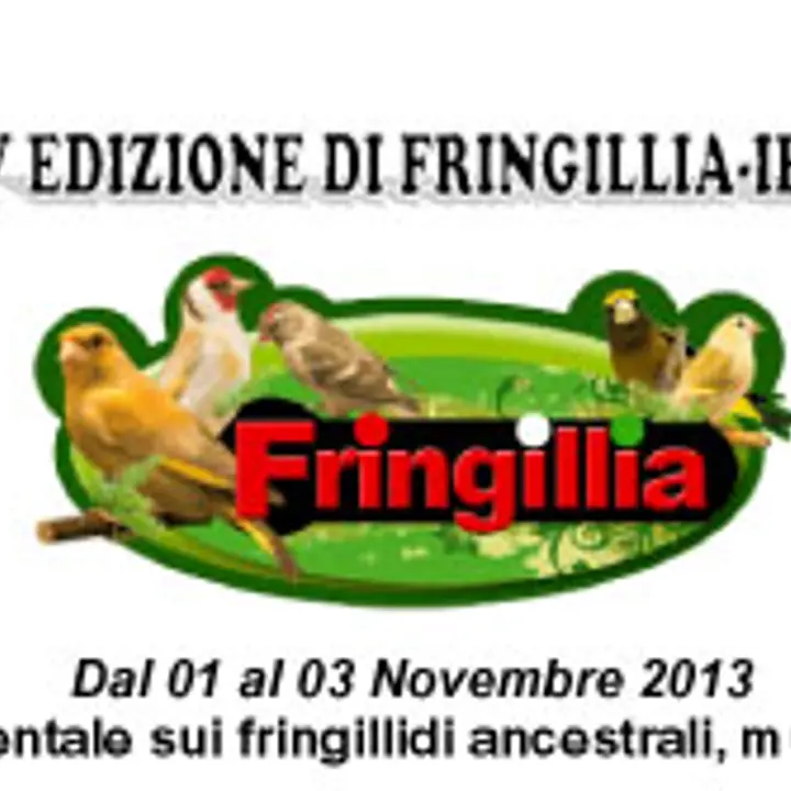 XXIV edizione FRINGILLIA IBRIDIA 02-03 novembre 2013